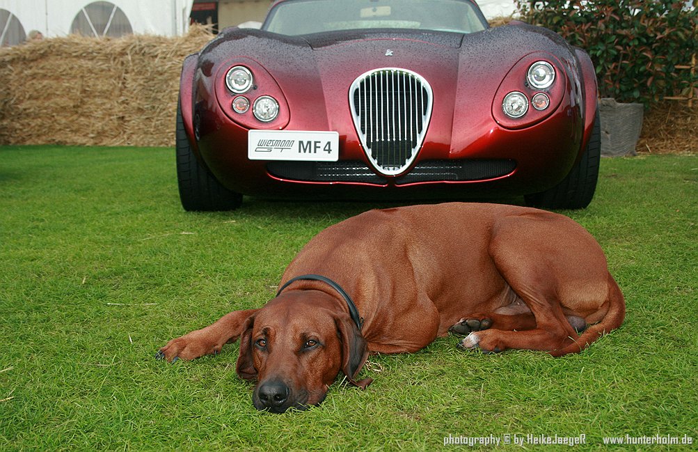 Wiesmann